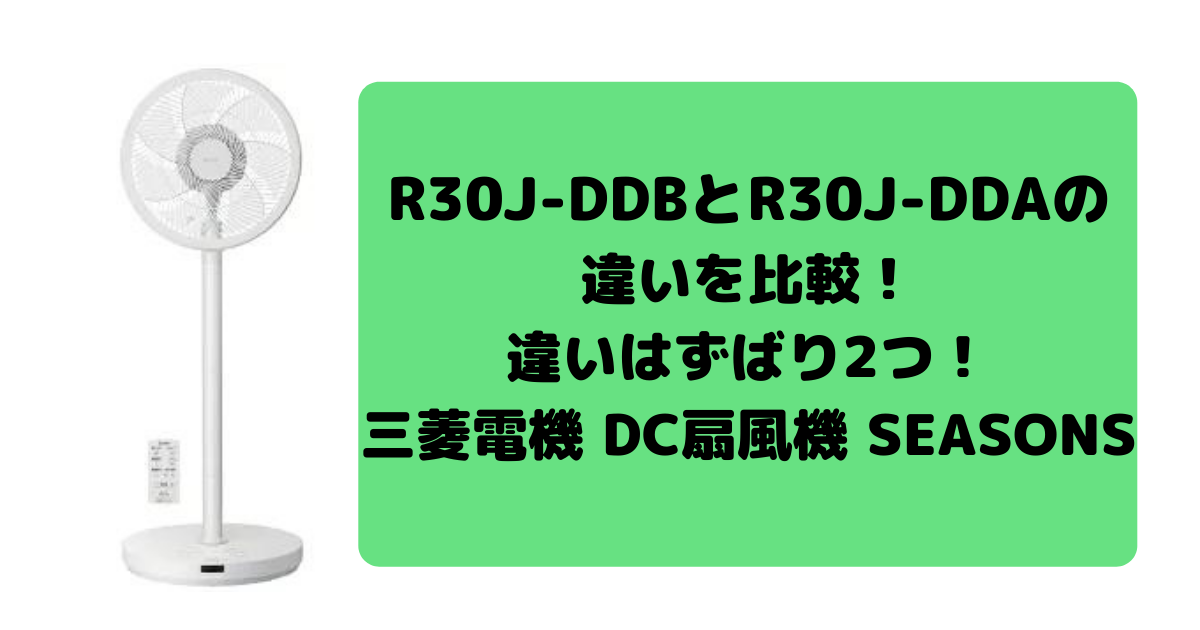 R30J-DDBとR30J-DDAの違いを比較
